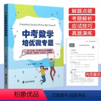 [正版]中考数学培优微专题 30个微专题 实战演练中考经典压轴题 彭林 童纪元编著 初中通用备战中考专题训练锻炼数学思