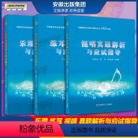 练耳+视唱+乐理真题解析与应试指导 安徽省音乐类高考辅导丛书2023年版 [正版]正品 2023年新版 乐理/视唱/练耳