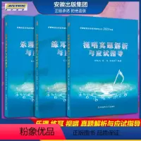 练耳+视唱+乐理真题解析与应试指导 安徽省音乐类高考辅导丛书2023年版 [正版]正品 2023年新版 乐理/视唱/练耳
