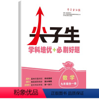 九年级全一册 数学 [正版]2024学习方法报尖子生学科培优+必刷好题七八年级上下册九年级全一册数学物理化学任选 重难专