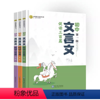 初中文言文促读三百篇(第一.二.三辑) 初中通用 [正版]2024文言文促读三百篇 初中123辑3本套装 小规律小启迪