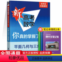 [正版]2023新高考数学你真的掌握了吗平面几何与三角函数高中数学总复习辅导资料书高考专题讲解训练数学题型归纳专项突破