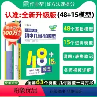 [正版]全新升级2024名师有大招初中几何48模型数学几何模型八年级九年级中考压轴题提分快多题一解题专题训练几何辅助线