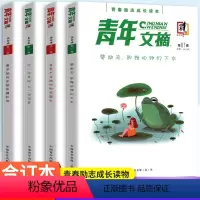 青年文摘彩版(4本装) [正版]青年文摘合订本第84卷第85卷第86卷第87卷 彩版青春励志成长读本高中学生作文素材高考