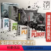 [4册全]切尔诺贝利+愚蠢的炸弹+原子与灰烬+被遗忘的倒霉蛋 [正版]新版珍藏切尔诺贝利+原子与灰烬+愚蠢的核弹+被遗忘