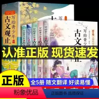 古文观止 [正版]写给青少年的古文观止注音版全套5册适合三四五六年级课外阅读书籍 老师小学四年级五年级必读课外书上册3至