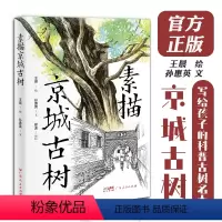 [正版]素描京城古树 王晨绘孙惠英文地域京味儿文化科普古树名木知识延伸北京园林生态广东人民出版社