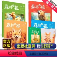 森林画报 [正版]送帆布袋森林画报春夏秋冬全五册套装 小学生三四五六年级必读课外书 适合小学8~12岁儿童阅读故事绘本书