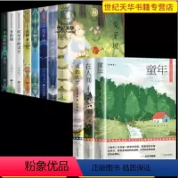 [纽伯瑞+高尔基自传]全套11册 [正版]纽伯瑞国际儿童文学金奖小说系列全套 中小学生老师二三四五六年级下册必读的课外书