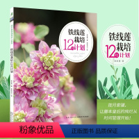 [正版]铁线莲栽培12月计划绿手指园艺丛书 铁线莲入门花园mook园艺书抗辐射植物办公室盆栽阳台花园布置设计木村卓功种