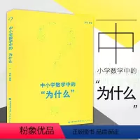 [正版] 中小学数学中的为什么 小学初中高中数学知识大全理论李祎教育书籍教学研究中小学数学教师研修培训书 福建教育出版