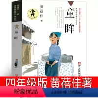 [正版]童眸书四年级 黄蓓佳著江苏凤凰少年儿童出版社倾情小说系列儿童成长读物文学青少年小学生课外书阅读书籍百班千人张祖