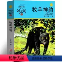 牧羊神豹 [正版]牧羊神豹 沈石溪动物小说精品集系列儿童文学小学生课外书长篇单本作品全集珍藏版品藏书系大王升级版三四五六