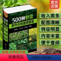 [正版]新版 500种野菜野外识别速查图鉴 药用植物食用方法保健功效蔬菜果实药用常见有毒植物野外鉴别识别方法教程随身查