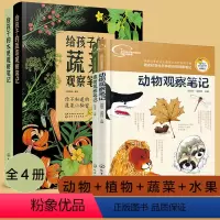 4册 蔬菜+水果 +动物+植物观察笔记 [正版]全4册 给孩子的果蔬大自然观察笔记 蔬菜+水果+动物+植物观察笔记6-1