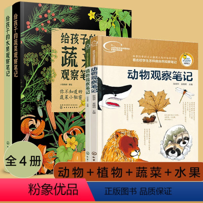 4册 蔬菜+水果 +动物+植物观察笔记 [正版]全4册 给孩子的果蔬大自然观察笔记 蔬菜+水果+动物+植物观察笔记6-1