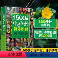 [正版] 1500种中草药野外识别彩色图鉴 中草药书入门医学书籍本草纲目医学自学书籍中草药大全常用中药养生功效药方健