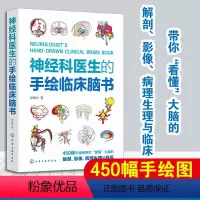 [正版]神经科医生的手绘临床脑书 徐桂兴 450幅手绘图看懂大脑的解剖影像病理生理与临床 神经内科外科的手绘临床脑书