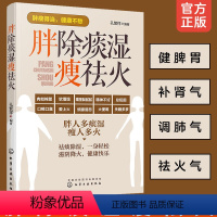 [正版]胖除痰湿瘦祛火 孔繁祥 京城四大名医施今墨弟子 中老年祛湿体寒特热除痰滋阴祛火药膳食疗穴位按摩经络推拿中医图书