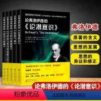 [正版]全5册 国际精神分析协会IPA 当代弗洛伊德 转折点与重要议题 第二辑 当代弗洛伊德IPA心理学与自我分析精神