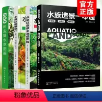 [正版]全4册 水族造景一本通+水草缸造景全流程图解+水草缸造景设计+500种造景水草图鉴 水草缸造景工具图书籍 零基