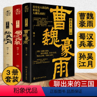 [正版]全套3册 聊出来的三国 曹魏豪雨 蜀汉兵革 孙吴江月 锋云 青年历史学者 新史纪丛书曹操刘备孙吴三国演义历史故