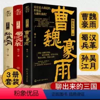 [正版]全套3册 聊出来的三国 曹魏豪雨 蜀汉兵革 孙吴江月 锋云 青年历史学者 新史纪丛书曹操刘备孙吴三国演义历史故