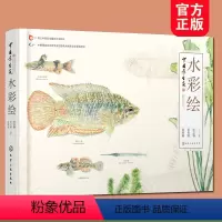 [正版]中国原生鱼水彩绘 张国刚 彭作刚 常见原生鱼类原创水彩画物种饲养体验中国原生鱼美艳鉴别鱼种中国小型淡水鱼饲养殖