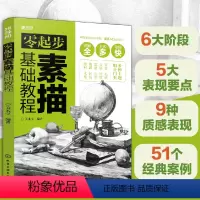[正版]零起步素描基础教程 新人小白成人中小学生零基础入门学习书 基础知识结构素描石膏几何体质感塑造单体塑造静物组合素
