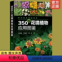 [正版] 350种花境植物应用图鉴 园林植物图鉴系列植物学名科形态识别特征习性园林应用绿化管理书 常见植物园林花卉花艺