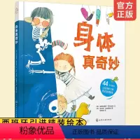 [正版] 身体真奇妙 人体知识书籍 人体器官身体构造身体的小秘密 幼儿早教启蒙书籍少儿科普儿童故事绘本身体组织五官感知
