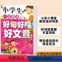 语文 小学通用 [正版]百步书梯 小学生一定要读的好句好段好文章 彭凡6-12岁小学生通用写作文遣词造句风景人物记事动植