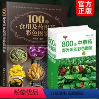 [正版]2册 800种中草药野外识别彩色图鉴+100种食用及药用花彩色图鉴 中草药识别特征分布生境药用功效 食用药用花