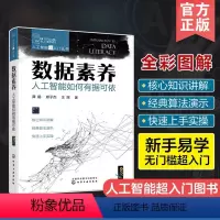 [正版]数据素养 人工智能如何有据可依 人工智能超入门丛书 AI人工智能数据规律收集清洗可视化技术计算机相关工作岗位技