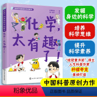 化学,太有趣了! [正版]化学太有趣了 给孩子的基础科学启蒙书 柠檬夸克 6-9-12岁儿童小学生科普图书籍 发掘身边的