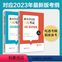 [正版]大学日语六级2本新大学日语六级考试词汇+语法精讲精练(附赠音频)