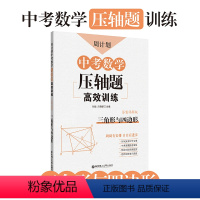 [正版]周计划.中考数学压轴题高效训练(三角形与四边形)初三9年级复习专项资料