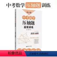 [正版]初中周计划.中考数学压轴题高效训练(折叠与旋转)