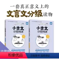 [正版]小古文分级阅读六年级+小升初上册+下册赠朗诵音频小学文言文6年级
