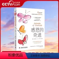 [正版]央视网感恩的奇迹:让我们的眼睛再次看到平凡生活中的奇迹心理励志书籍 ZK