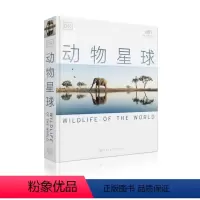 DK动物星球 [正版]央视网DK社科 5本 宗教百科全书+伟大的世界地图+狗百科+动物星球+猫百科 中国少年儿童中小学生