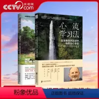 [正版]央视网深度自然游戏+心流学习法 激活身心活力创造力和启发学习指南 家庭育儿书儿童教育书籍 孩子健康成长QS