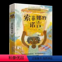 索菲娜的诺言 [正版]央视网长青藤国际大奖小说·第16辑 索菲娜的诺言TY
