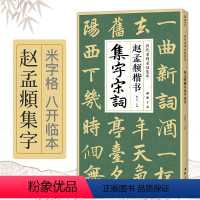 [正版]赵孟頫楷书集字宋词 简体旁注楷书入门基础收录赵孟俯经典碑帖集古诗词作品集欣赏成人学生临摹教程楷书毛笔书法练字帖