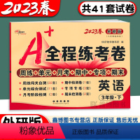 [3年级下册]三起外研英语 小学通用 [正版]2024春 全程练考卷外研版三年级起点英语试卷三年级四五年级六年级上册下册