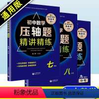 [七+八+九]压轴题精讲精练3本 初中通用 [正版]初中数学压轴题精讲精练数学七八九年级上下册通用适合各种版本真题破难题