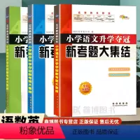 新考题大集结[语+数+英] 小学升初中 [正版]2023新版小升初小学语文升学夺冠新考题大集结全国名校小升初毕业语文小考