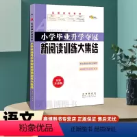 [新阅读训练大集结] 小学升初中 [正版]小学语文升学夺冠 新阅读训练大集结名校小升初阅读训练考点分析考题在线考点解读考
