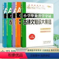 [套装全5本] 小学升初中 [正版]小学毕业升学夺冠名著文学知识考点成语古诗文知识 字词句训练综合知识大集结名校小升初总