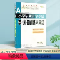 [字词句训练大集结] 小学六年级 [正版]小学毕业升学夺冠字词句训练大集结 68所名校小升初汉字词语句子字词句综合测试卷